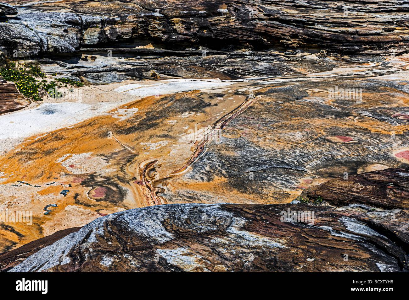 Coastal Sandstone Rock Formationen im Jack Vanny Reserve, Maroubra, Sydney, New South Wales, Australien Stockfoto