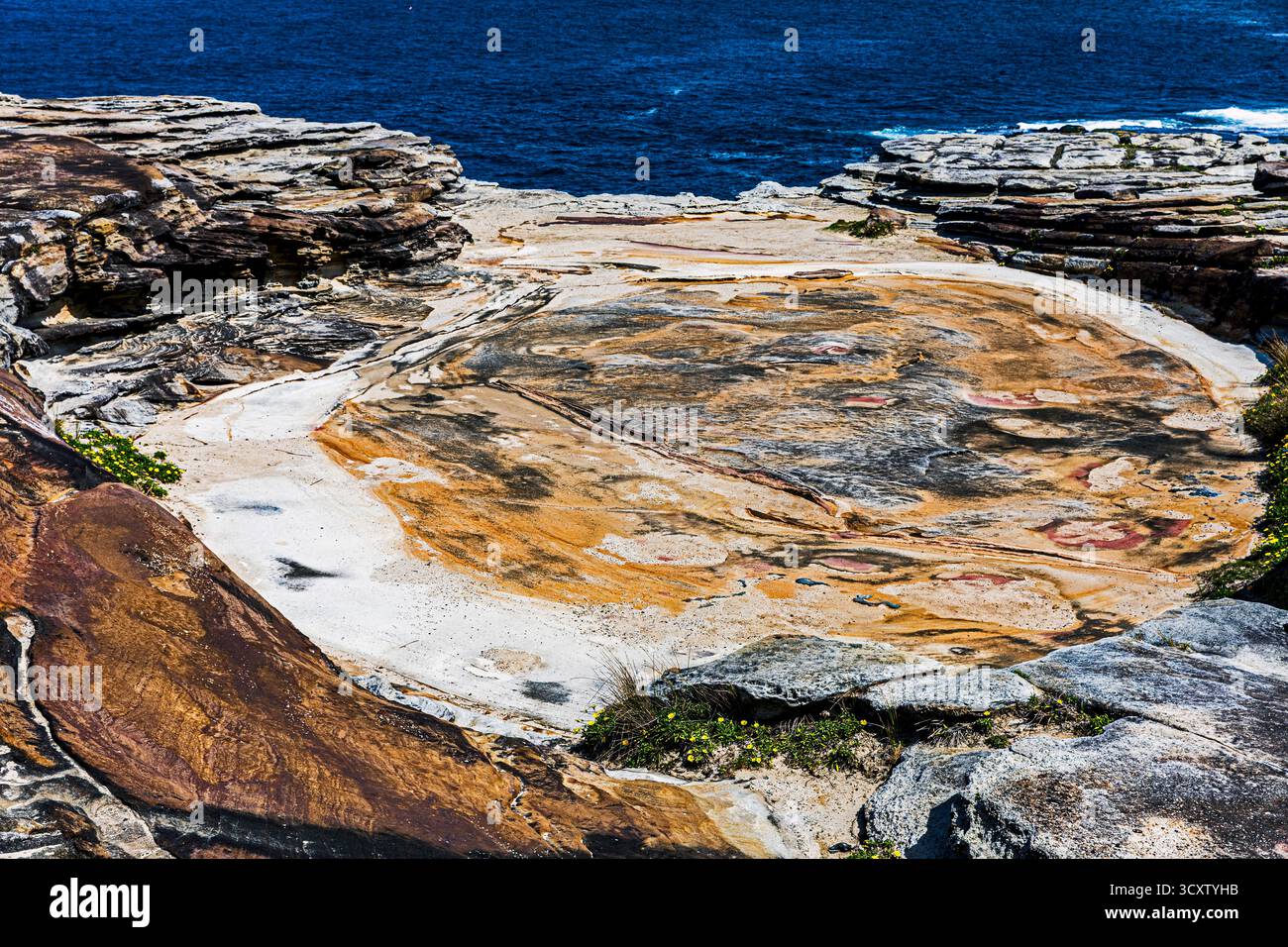 Coastal Sandstone Rock Formationen im Jack Vanny Reserve, Maroubra, Sydney, New South Wales, Australien Stockfoto