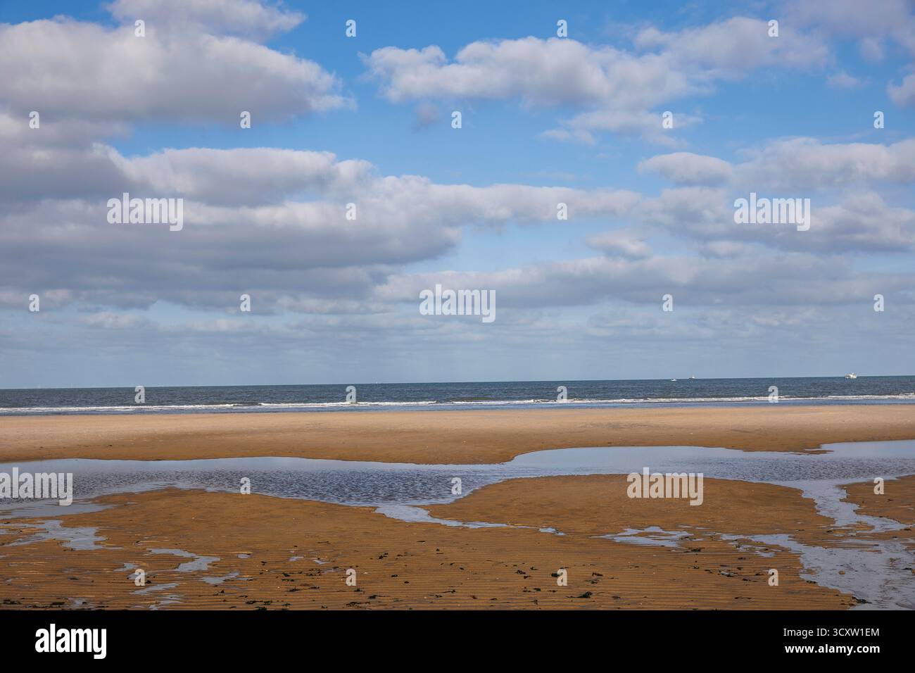 Am Strand in Oostkapelle auf der Halbinsel Walcheren, Zeeland, Niederlande. Am Strand bei Oostkapelle auf Walcheren, Zeeland, Niederlande. Stockfoto