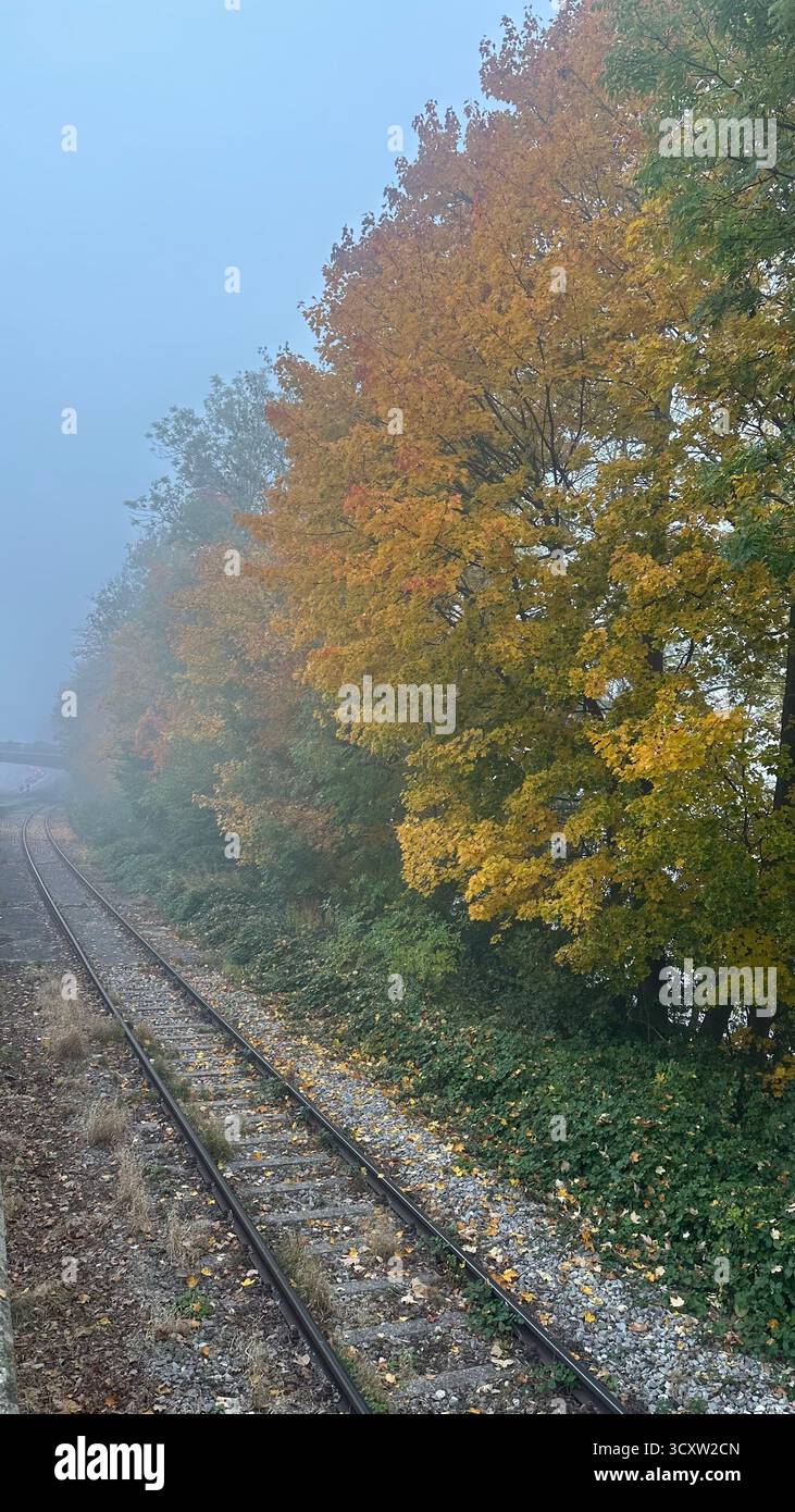 Nebliger Herbstwald mit bunten Bäumen, Eisenbahnen und Fluss in Deutschland. - Smartphone-aufgenommenes Stockfoto
