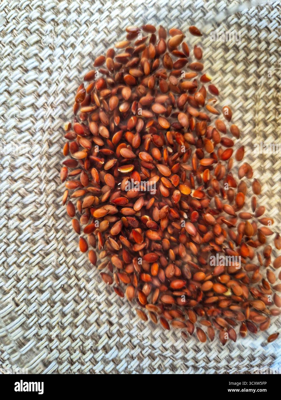 Eingeweichte Leinsamen. Gelee-ähnliche Leinsamen - Smartphone-aufgenommenes Stockfoto