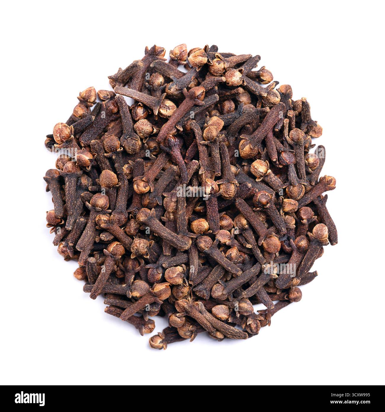 Getrocknete Nelken, Kreis auf weißem Hintergrund. Kreisförmige Form mit einem Haufen aromatischer Blütenknospen von Syzygium aromaticum. Stockfoto