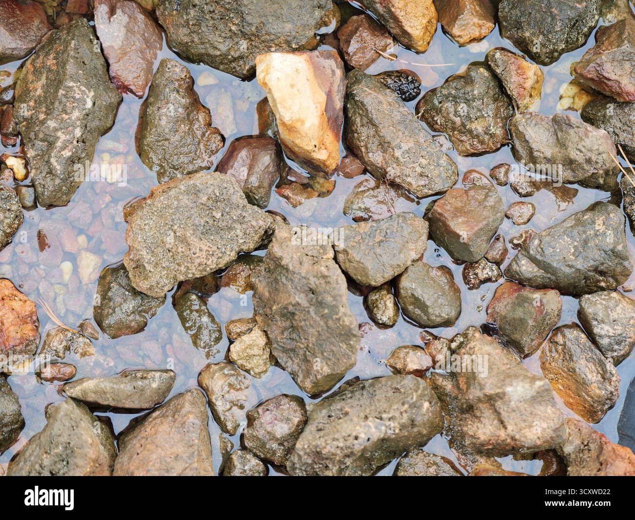 Steine und Kieselsteine in flachem Wasser mit glatten und rauen Oberflächen. Kopierraum. Stockfoto
