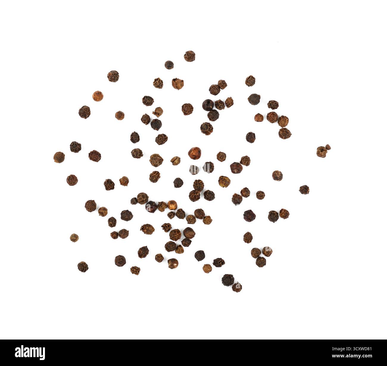 Nahaufnahme separate schwarze Pfefferkörner verschüttet und verteilt sich isoliert auf weißem Hintergrund, erhöhte Ansicht von oben, direkt darüber Stockfoto