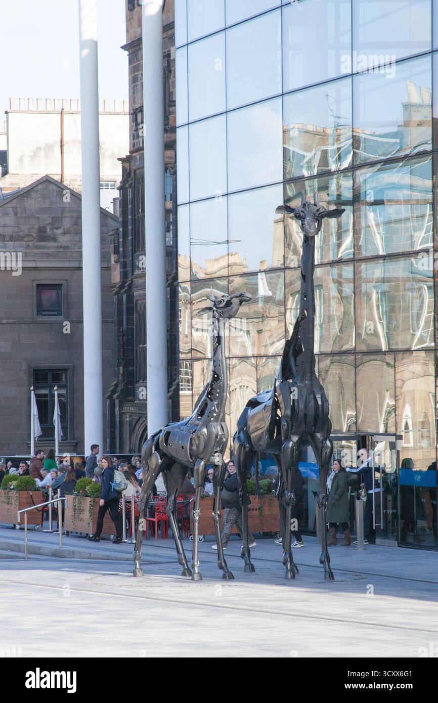 The Dreaming Spires Giraffe Skulpturen in Edinburgh von Helen Denerley in Schottland im Vereinigten Königreich Stockfoto