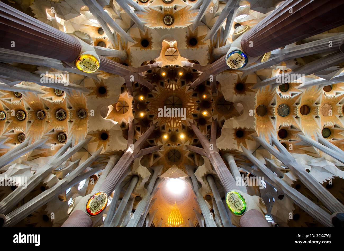 Barcelona, Spanien. - 24. Oktober 2016 : die Innendecke der Basílica de la Sagrada Família, die das charakteristische organische Design von Antoni Gaudí zeigt. Stockfoto