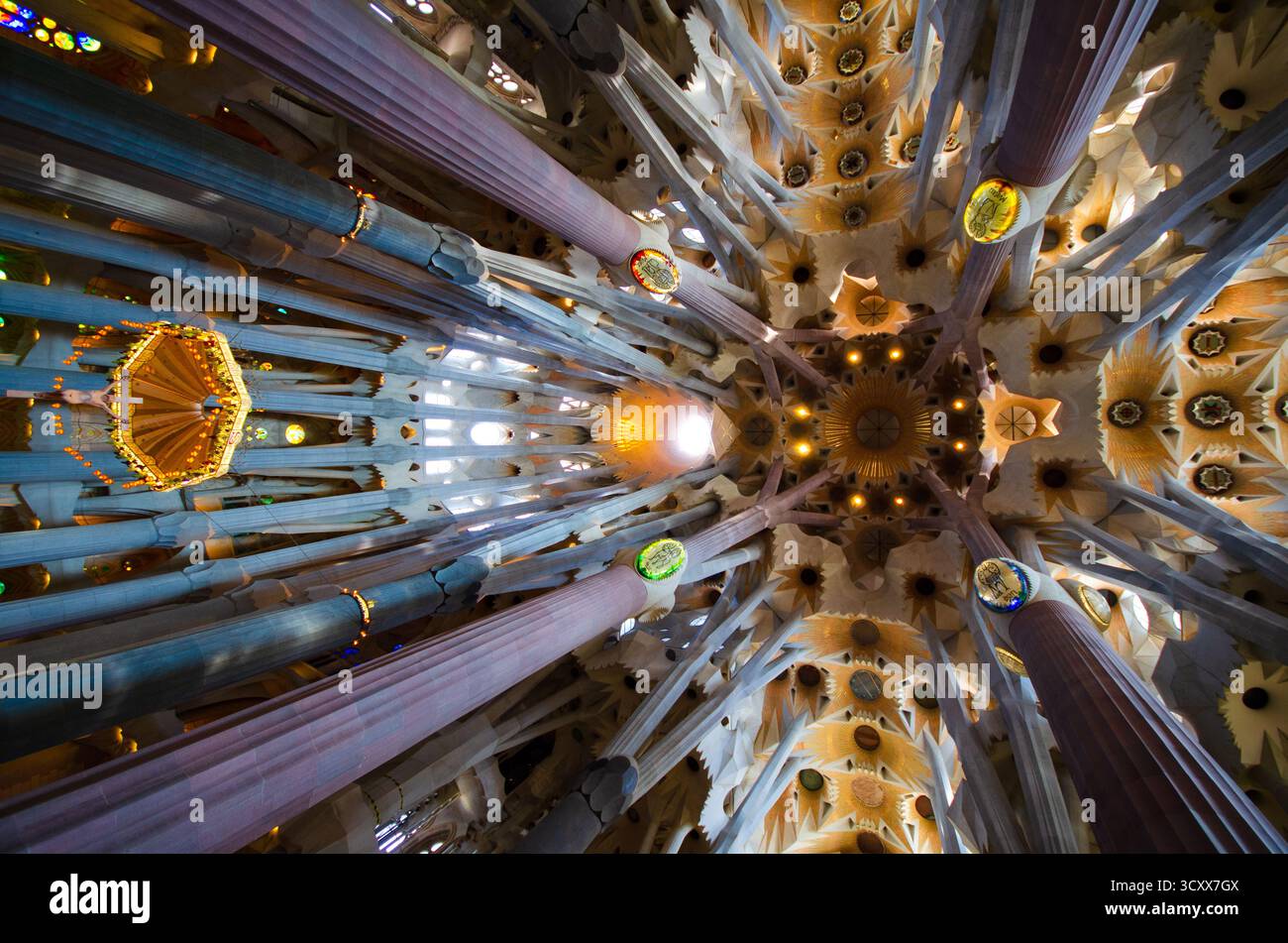 Barcelona, Spanien. - 24. Oktober 2016 : die Innendecke der Basílica de la Sagrada Família, die das charakteristische organische Design von Antoni Gaudí zeigt. Stockfoto