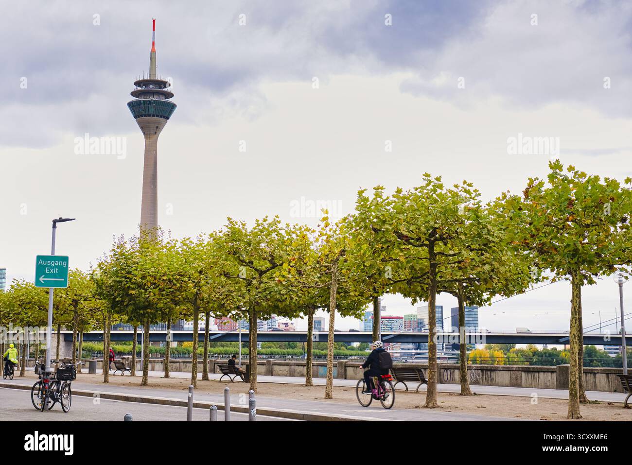 Radfahrer reiten Fahrrad auf der von Bäumen gesäumten Rheinpromenade mit dem berühmten Rheinturm im Hintergrund im Herbst Düsseldorf Deutschland Stockfoto