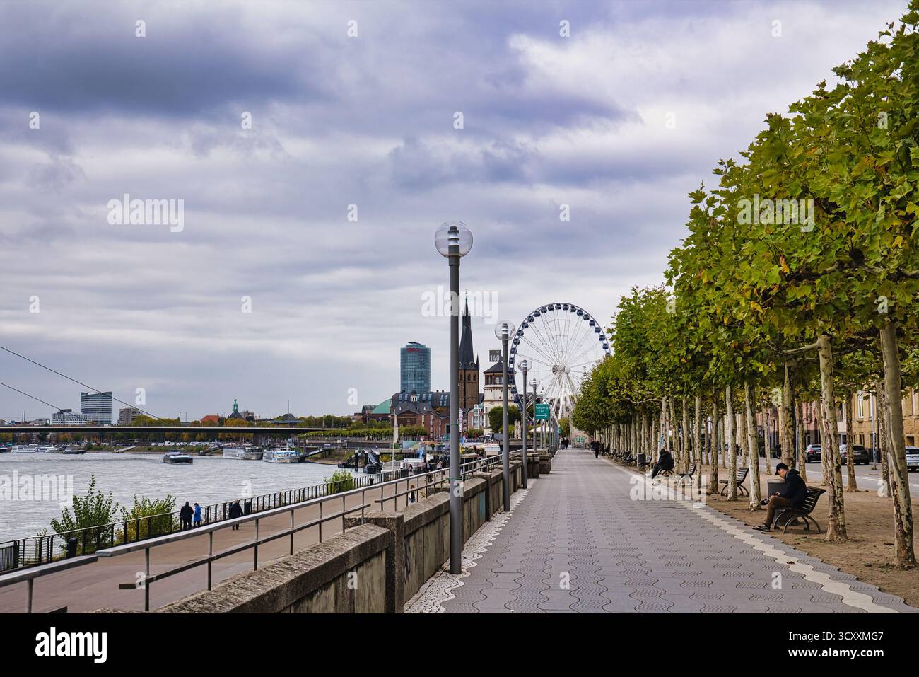 Von Bäumen gesäumter Rheinpromenadenweg mit entferntem Riesenrad und historischem Kirchturm unter bewölktem Himmel in Düsseldorf Deutschland Stockfoto