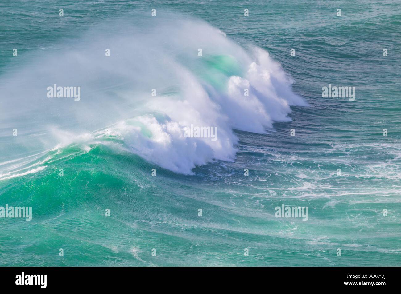 Große Wellen und Schaum am Strand Praia do Norte in Portugal Stockfoto