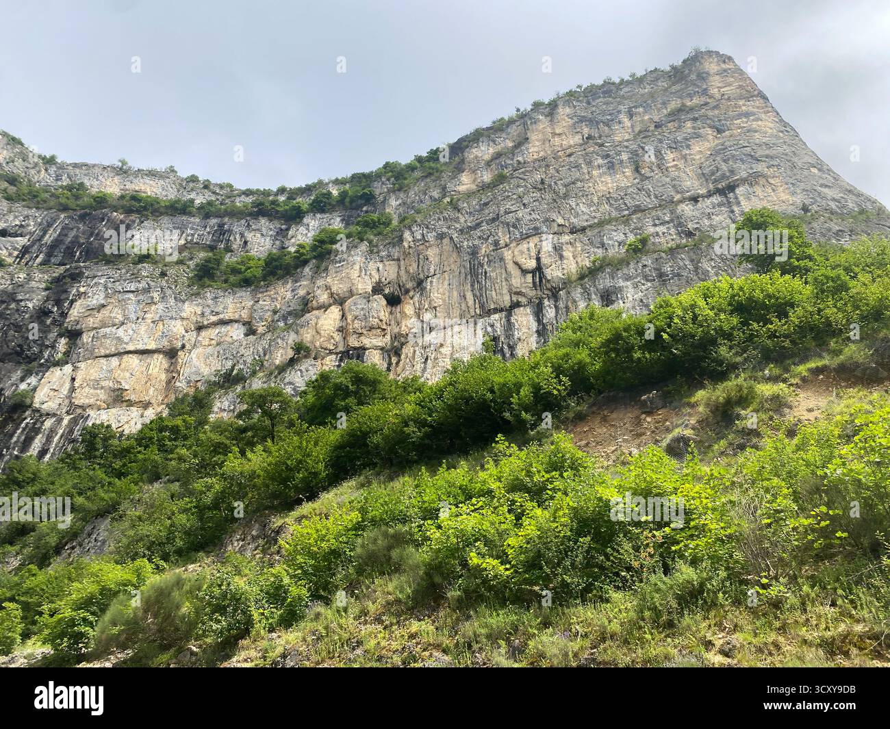 Majestätische Kalksteinklippe mit grüner Vegetation Stockfoto