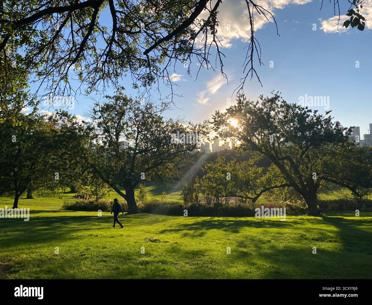 Park Sunset mit City Skyline in der Ferne Stockfoto