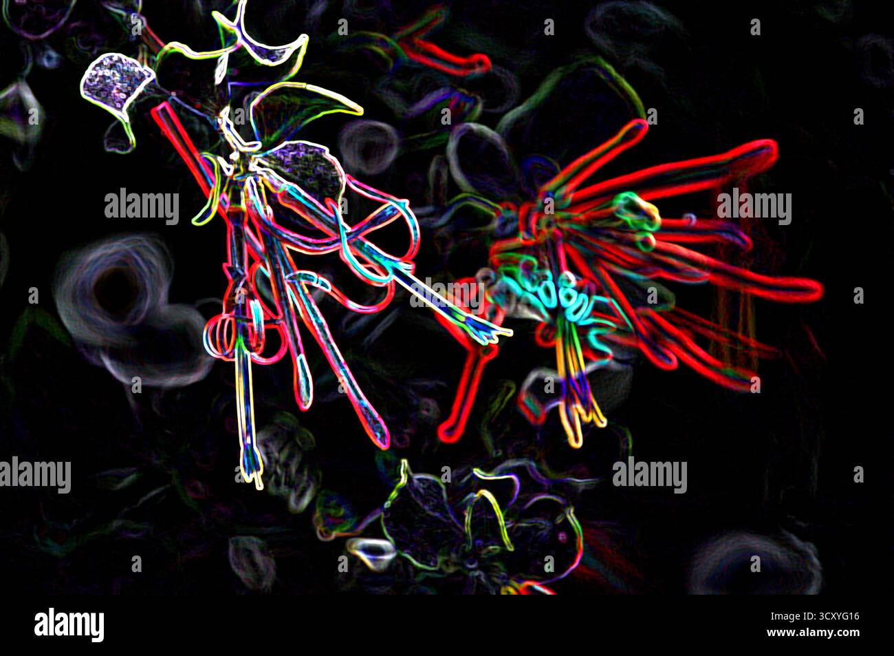 Abstrakter Hintergrund von Wildblumen mit Neonlichteffekt Stockfoto
