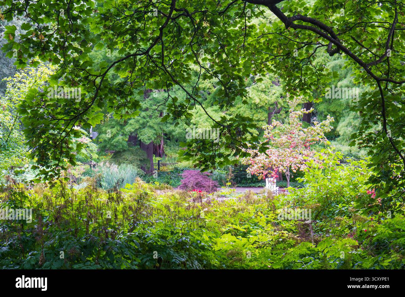 Planten un Blomen Gardens, Hamburg, Deutschland Stockfoto