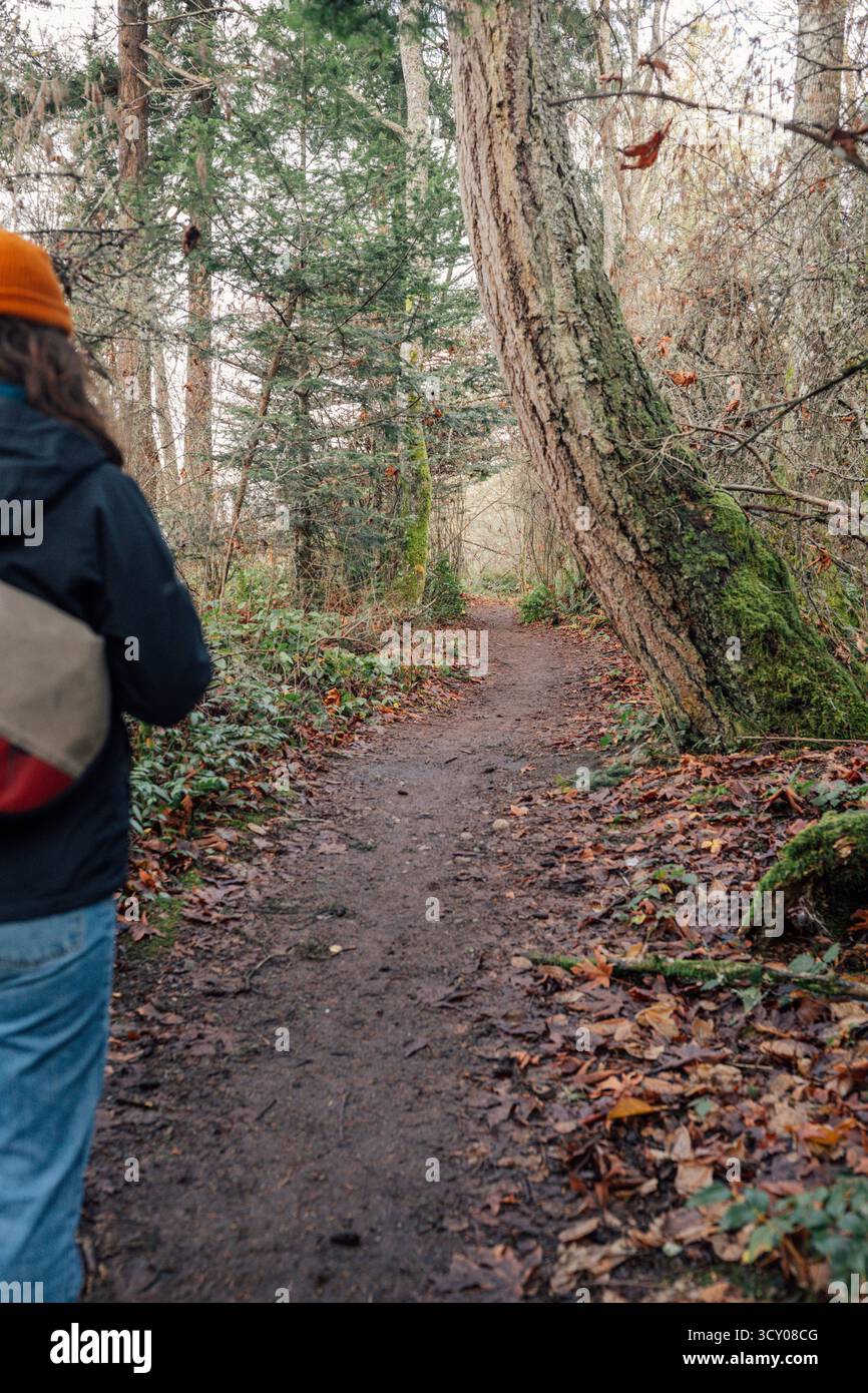 Spaziergang im Carkeek Park, Seattle, Washington Stockfoto