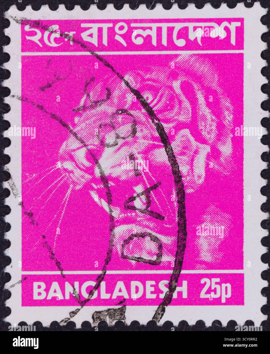 Eine magentafarbene Briefmarke aus Bangladesch zeigt ein stilisiertes Porträt eines Tigers mit dem Namen des Landes in Bengalisch und Englisch. Stockfoto