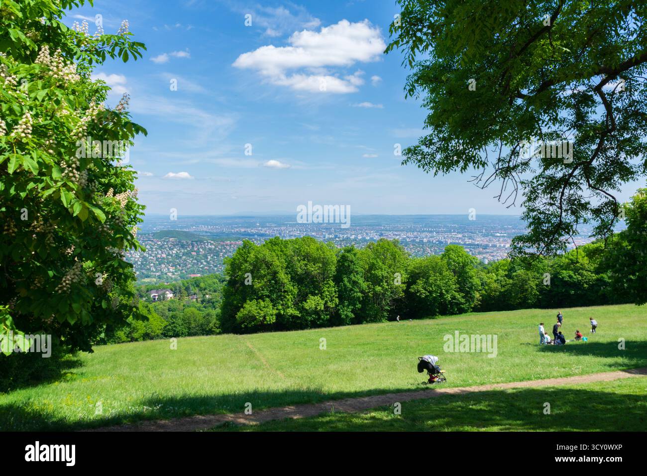 Blick von Normafa in Budapest, einem beliebten Naherholungsgebiet in den Budaer Hügeln mit Panoramablick und Familienaktivitäten. Stockfoto