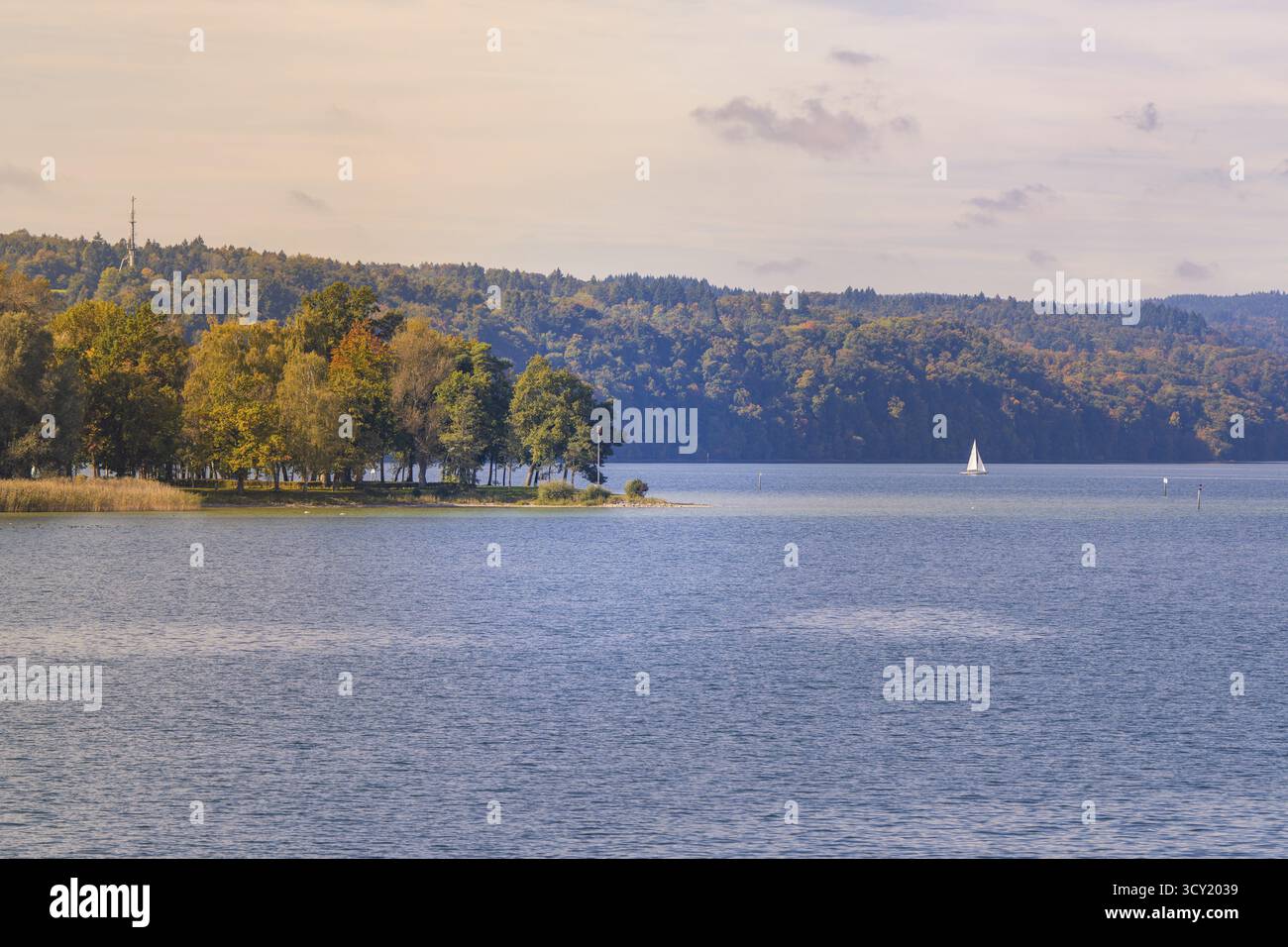 Blick auf den ruhigen See mit Segelboot und bewaldetem Ufer, Bootsfahrt, Bodensee, Deutschland Stockfoto