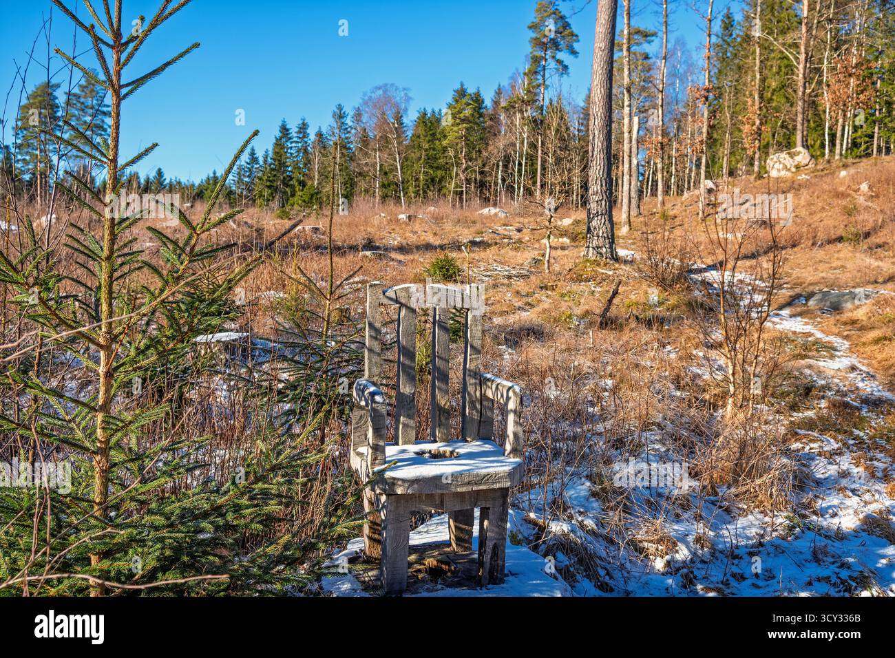 Freie Schneidefläche mit einem Stuhl aus einem Baumstumpf Stockfoto