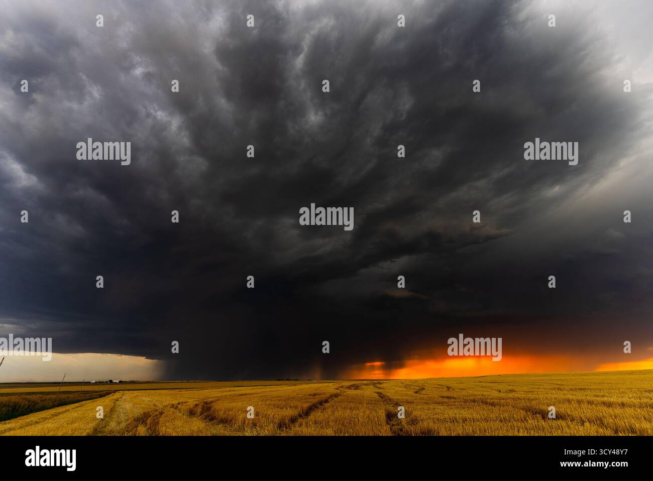 Starke Sturmböen nähern sich bei Sonnenuntergang in einer atemberaubenden Zeitraffer, mit dramatischem Himmel, sich bewegenden Wolken, Schatten und Textur. eine stimmungsvolle Atmosphäre Stockfoto