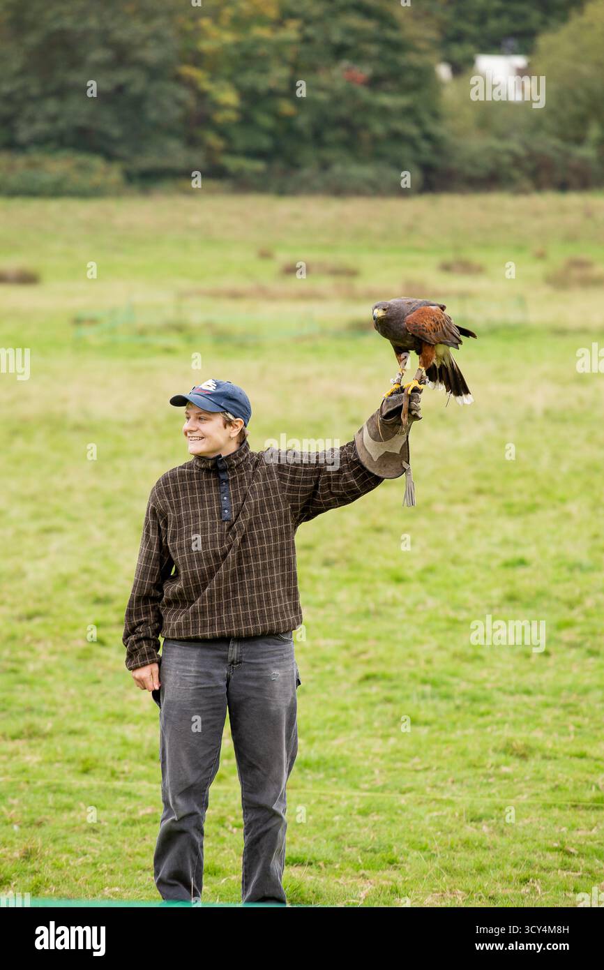 hawking Falknerei bei der Schlacht von Hastings Stockfoto