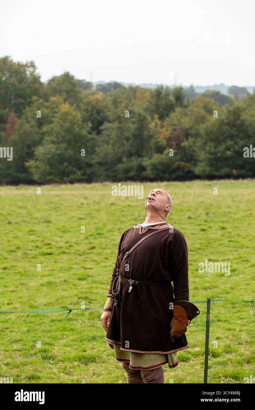 hawking Falknerei bei der Schlacht von Hastings Stockfoto