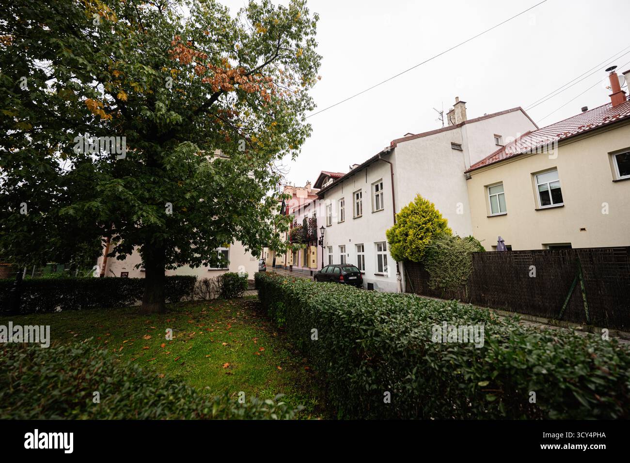 Tarnow, Polen - 10. Oktober 2025: Ruhige Wohnstraße in Tarnow mit Bäumen, Hecken und weißen Fassaden. Stockfoto