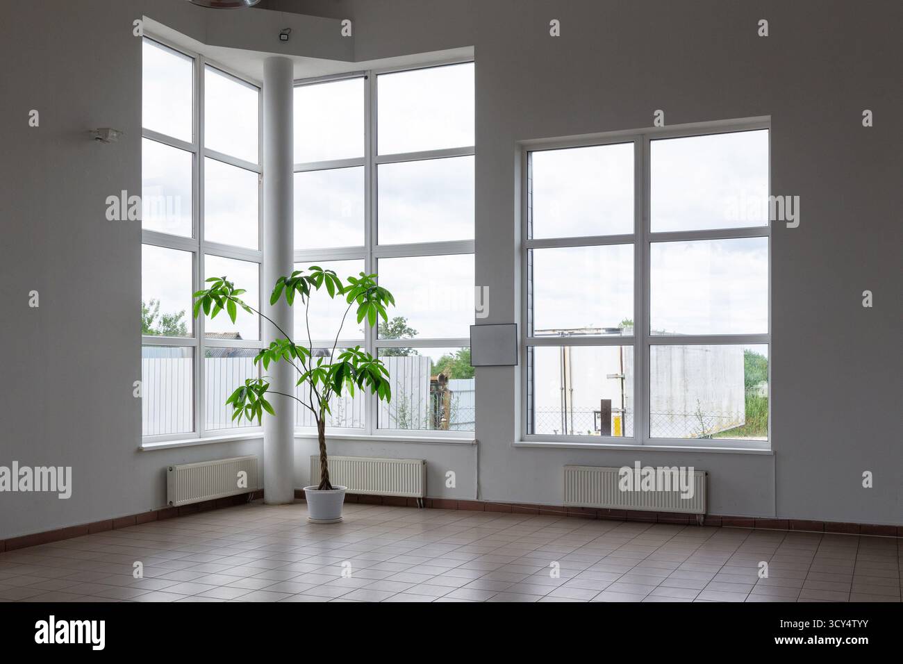 Ein geräumiger, heller Raum mit hoher Decke, großen getäfelten Fenstern und einer üppig grünen Pflanze auf gefliestem Boden. Stockfoto