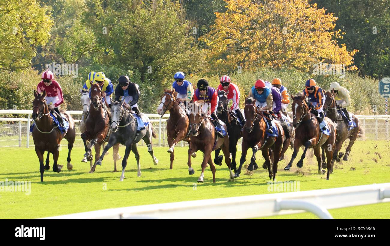 Die Läufer treten am 11. Oktober 2025 in den Coral Rockingham Stakes über 6f auf der York Racecourse an. Winner Division, geritten von Tom Marquand Stockfoto