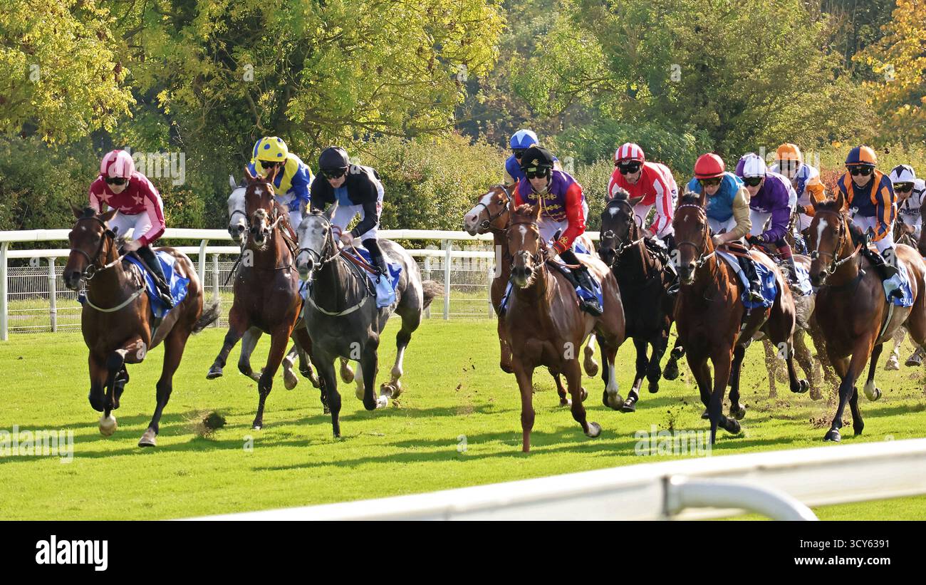 Die Läufer treten am 11. Oktober 2025 in den Coral Rockingham Stakes über 6f auf der York Racecourse an. Winner Division, geritten von Tom Marquand Stockfoto