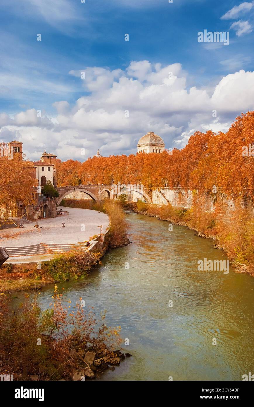 Herbst und Laub in Rom. Orangene und gelbe Platanen in der Nähe der Tiberinsel mit einer alten römischen Brücke im historischen Zentrum der Stadt Stockfoto Herbst und Laub in Rom. Orangene und gelbe Platanen in der Nähe der Tiberinsel mit einer alten römischen Brücke im historischen Zentrum der Stadt Stockfoto