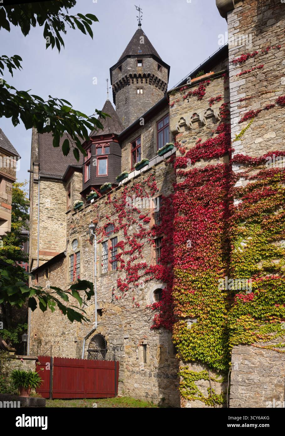 Historisches Schloss Braunfels mit herbstroten Efeu-bedeckten Steinmauern in Braunfels Hessen Deutschland 09302025 Stockfoto