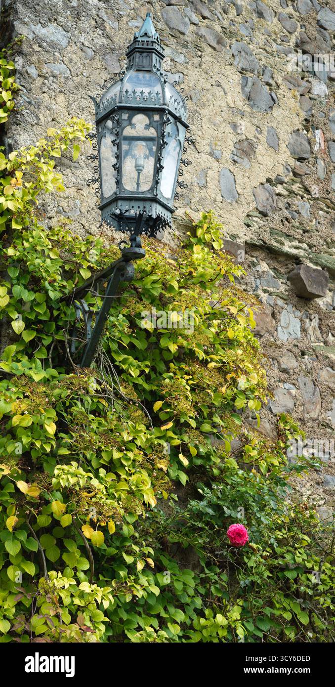 Eisenlaterne gehängt auf Steinmauer mit Kletterpflanzen im historischen Braunfels Schloss Hessen Deutschland 09302025 Stockfoto