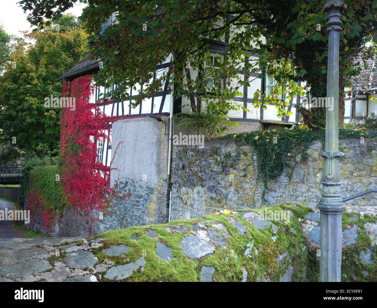 Fachwerkhaus mit herbstroten Efeu-bedeckten Steinmauern im historischen Braunfels Hessen Deutschland 09302025 Stockfoto