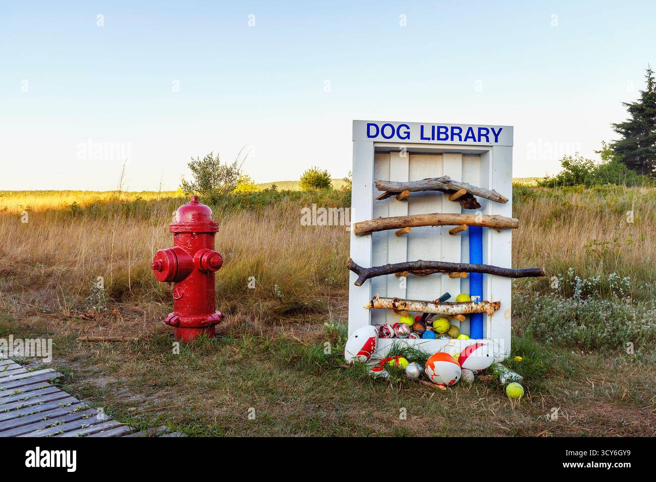 Hundebibliothek gefüllt mit Spielzeug und Stäbchen für Hunde, die in der Nähe des roten Hydranten am Strand ausgeliehen werden können Stockfoto
