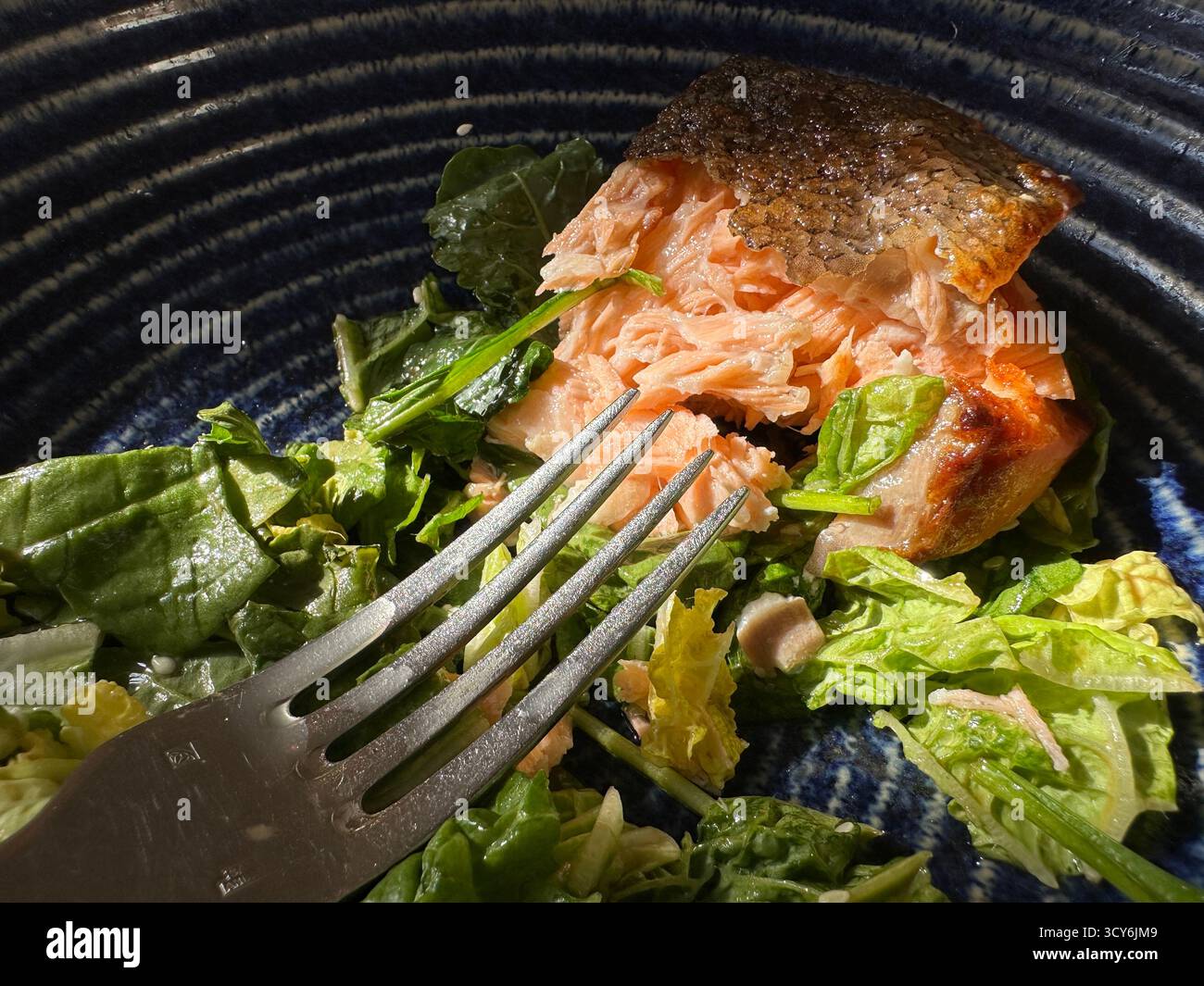 Lachssalat aus nächster Nähe im Restaurant Stockfoto