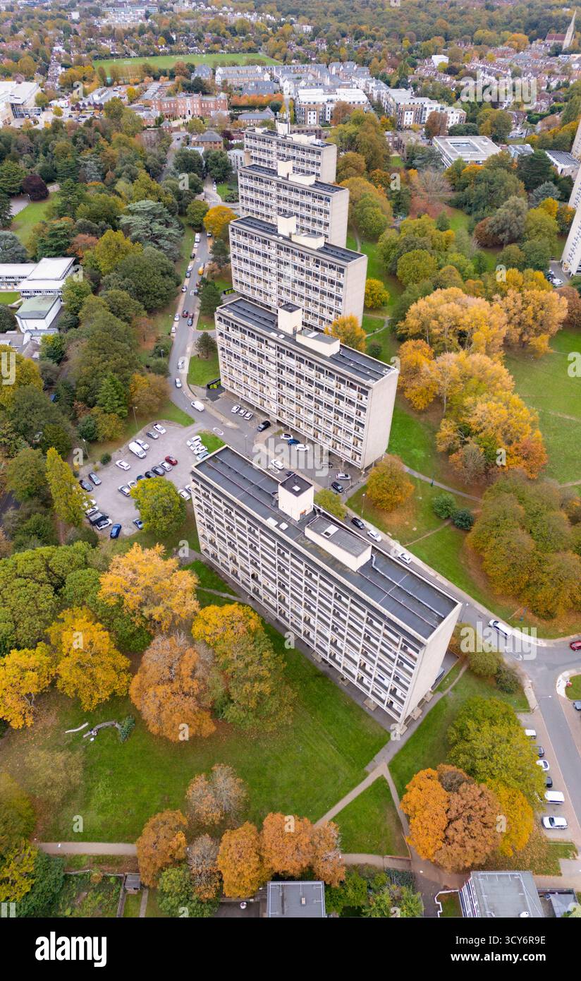 Herbstfarben umgeben das Alton Estate in Wandsworth, London. Die Bewohner genießen den Park. Stockfoto
