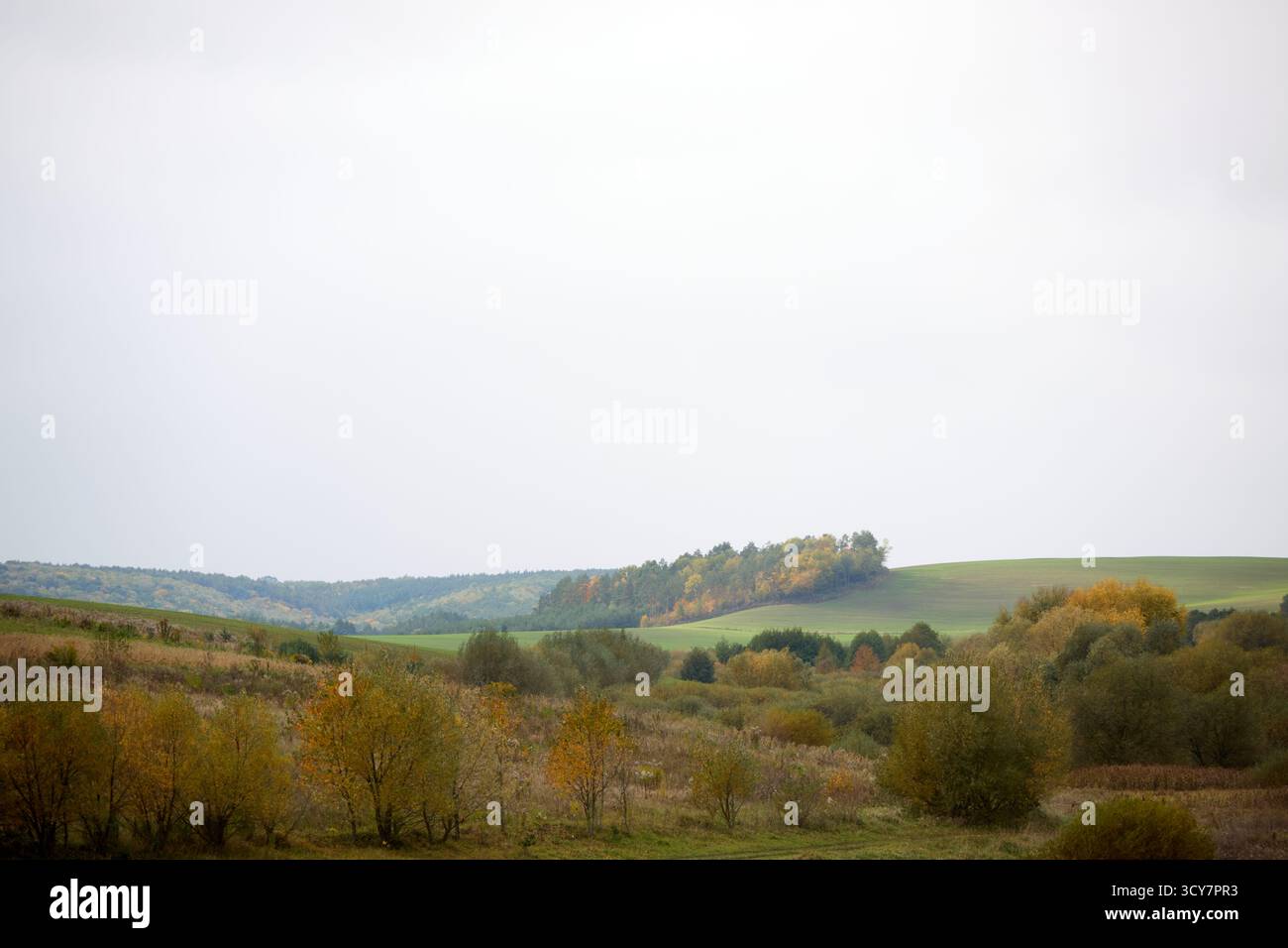 Malerische Herbstlandschaft mit sanften Hügeln, farbenfrohen Bäumen und einem ruhigen, bedeckten Himmel, der ein friedliches und landschaftliches Landpanorama schafft. Stockfoto