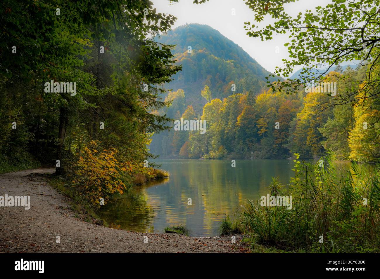 Wanderweg mit Blick auf den Hechtsee, Ein beliebter Badesee in den Brandenberger Alpen bei Kufstein in Tirol, Österreich. Herbstliche Atmosphäre Und Col Stockfoto