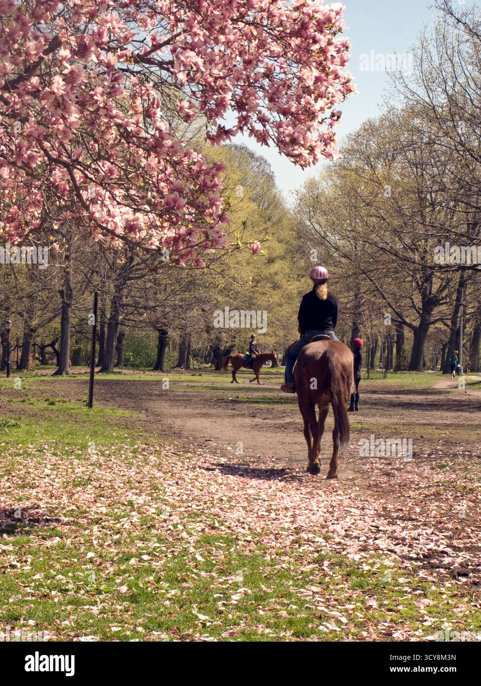 Frau reitet im Frühjahr im Prospect Park, Brooklyn, New York, einem 585 Hektar großen öffentlichen Park im New York City Borough of Brooklyn. Der Park W Stockfoto