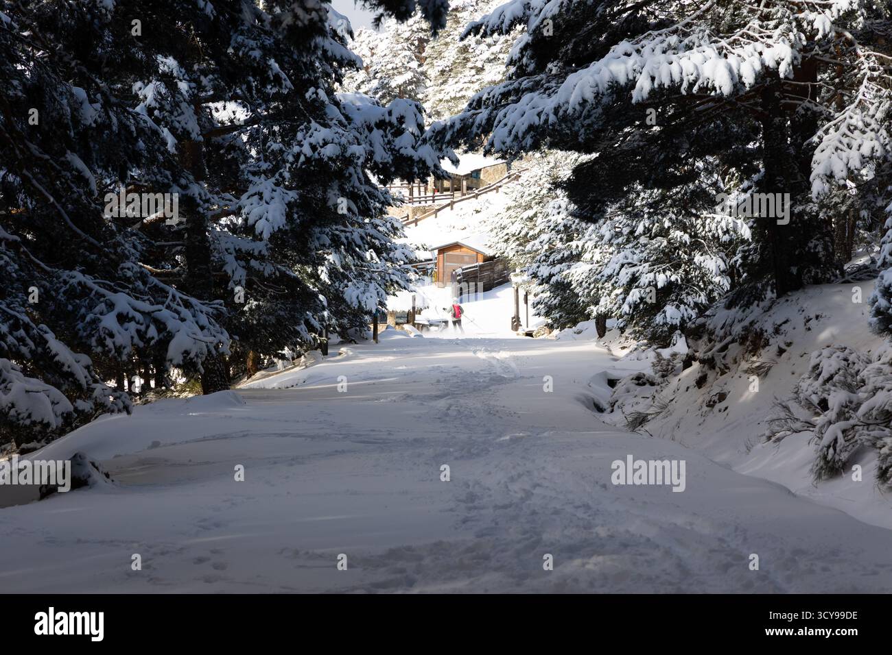 Paisaje nevado en la sierra de guadarrama en Madrid Stockfoto