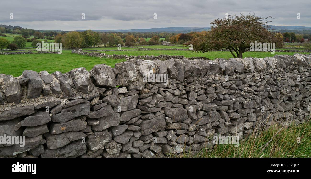 Blick über Felder im Peak District vom Monsal Head aus, mit Steinmauer im Vordergrund Stockfoto