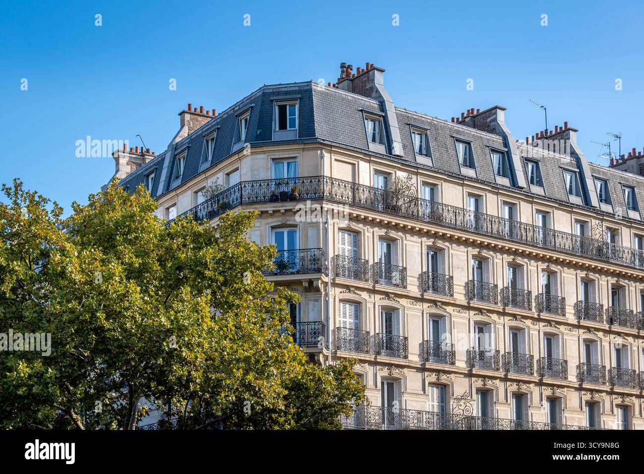 Fassaden von Pariser Wohnhäusern im Haussmann-Stil entlang einer von Bäumen gesäumten Allee. Konzepte des Immobilienmarktes und der Wohnungsfrage für ältere Haushalte Stockfoto
