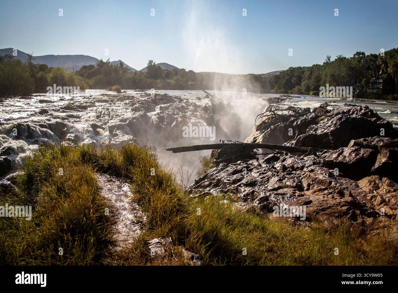 Ein gestrandeter Baumstamm im Sprühnebel des Hauptwasserfalls, als er in die Schlucht fällt, bei Epupa Falls. Stockfoto