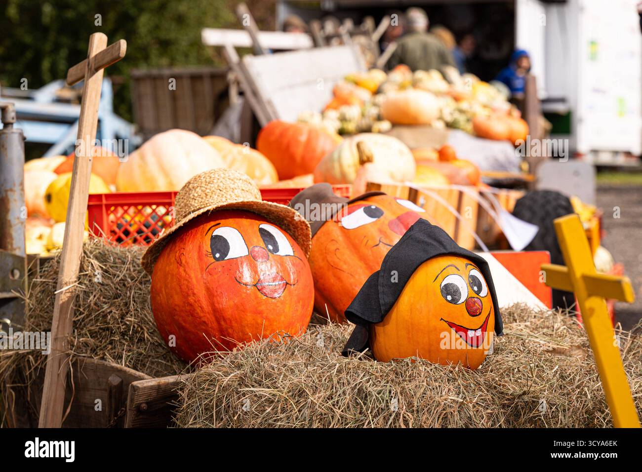Melle, Deutschland 5.Oct.2025: Im Bild: Bemalte Kürbisse mit fröhlichen Gesichtern und Strohhüten liegen auf Heu bei einem herbstlichen Kürbisfest. Im Hintergrund sind zahlreiche Kürbisse und Besucher auf einem Hofstand oder Bauernmarkt zu sehen. Symbolbild für Herbst, Erntezeit, Landwirtschaft und regionale Feste. Niedersachsen *** Melle, Deutschland 5 Okt 2025 auf dem Bild gemalte Kürbisse mit fröhlichen Gesichtern und Strohhüte liegen auf Heu bei einem HerbstKürbisfest im Hintergrund sind zahlreiche Kürbisse und Besucher eines Bauernstandes oder Bauernmarktes symbolisches Bild für Herbst, Erntezeit, agr Stockfoto