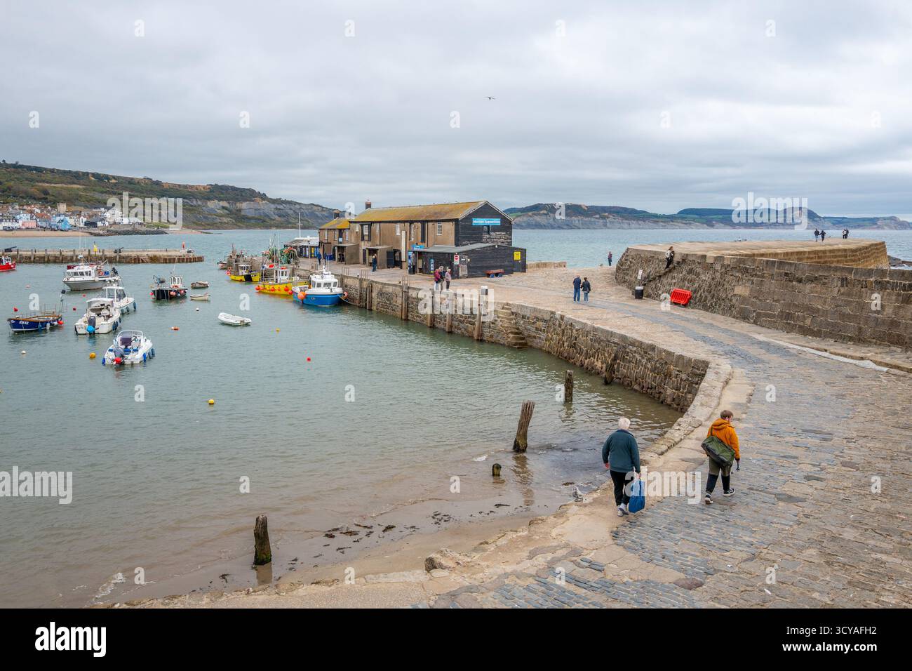 Cobb Harbour und Marina in der Küsten- und Küstenstadt Lyme Regis an der Küste von Dorset mit großer Hafenmauer und kleinen Booten. Stockfoto