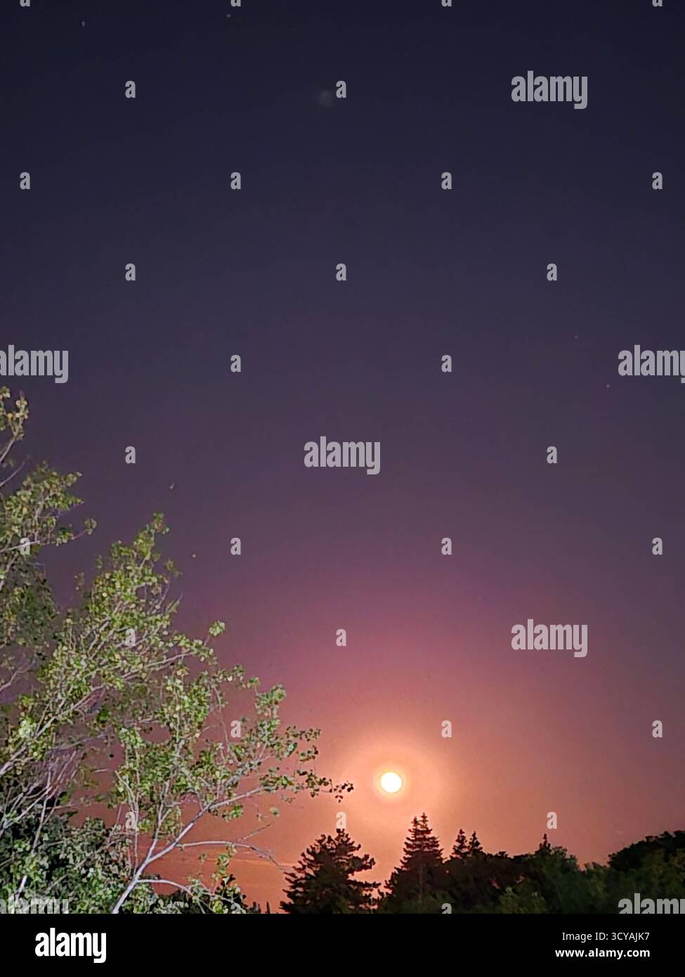 Der Himmel ist in tiefen Violett- und Rosa-Tönen gemalt. Die Magie der Dämmerung. Der rosafarbene Mond. Stockfoto