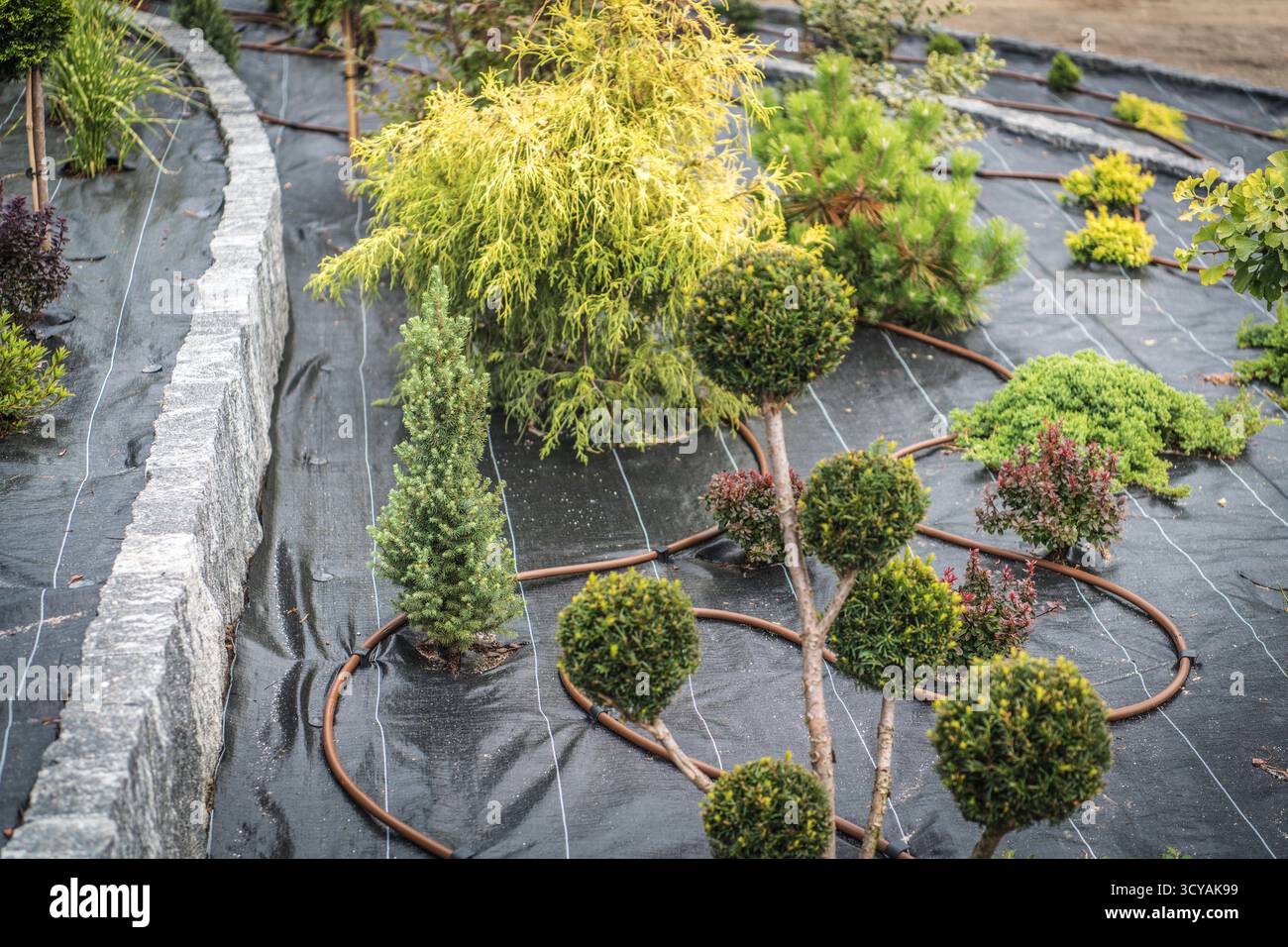 Ein lebendiges Landschaftsdesign zeigt verschiedene Pflanzen in einem akribischen Layout mit integriertem Bewässerungssystem auf schwarzem Stoff. Stockfoto