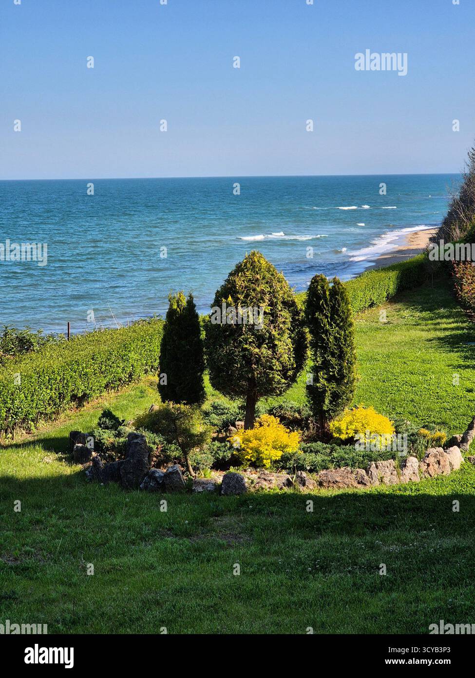 Schönheit der Natur. Ein wunderschöner Blick auf einen Park umgeben vom Meer unter der Sonne - Smartphone-aufgenommenes Stockfoto