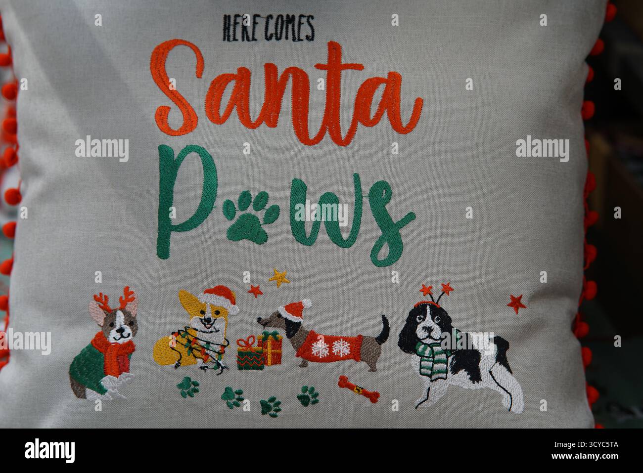Festliches Kissen mit „Here Comes Santa Paws“-Design mit Hunden in weihnachtlichen Outfits im Haskins Garden Centre. Stockfoto